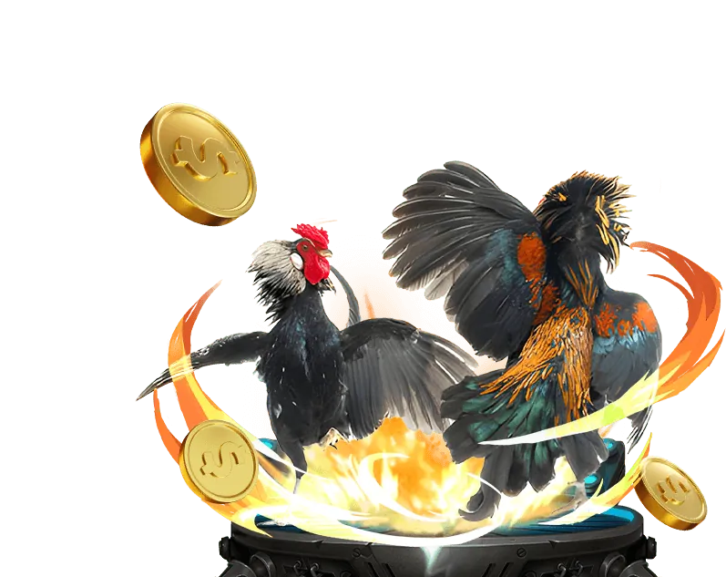 Cập nhật trò chơi và tính năng mới 678win cổng game